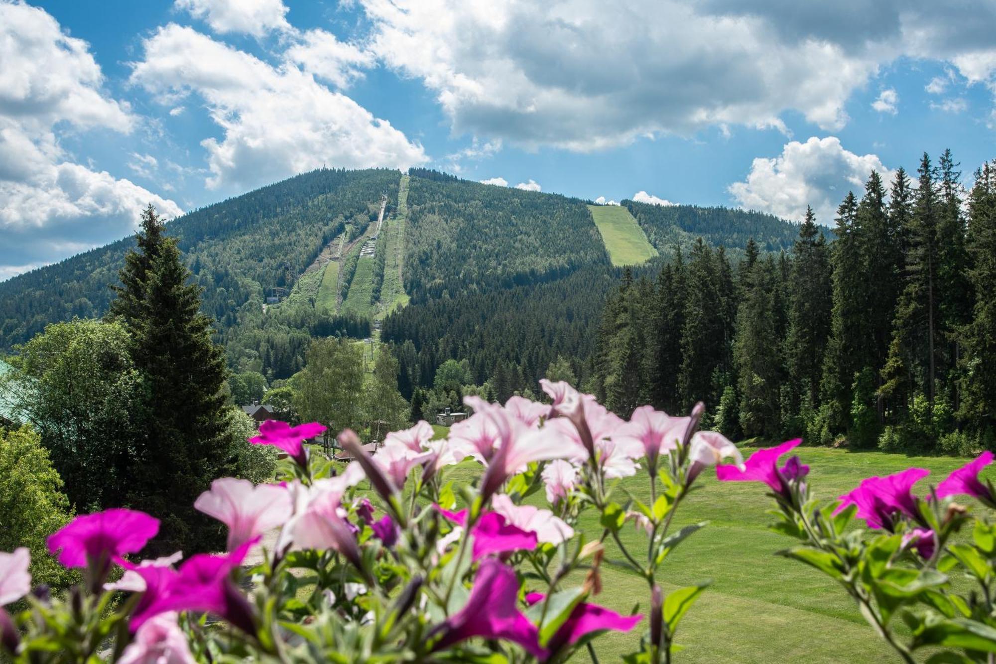 Wellness Hotel Sedy Vlk Harrachov Luaran gambar